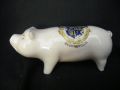 8295 Unmarked Crested China Standing Pig - Bournemouth