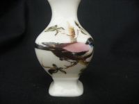 10778 Arcadian Crested China Tropical Birds Transfer - A Gift from Lincoln